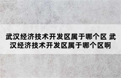 武汉经济技术开发区属于哪个区 武汉经济技术开发区属于哪个区啊